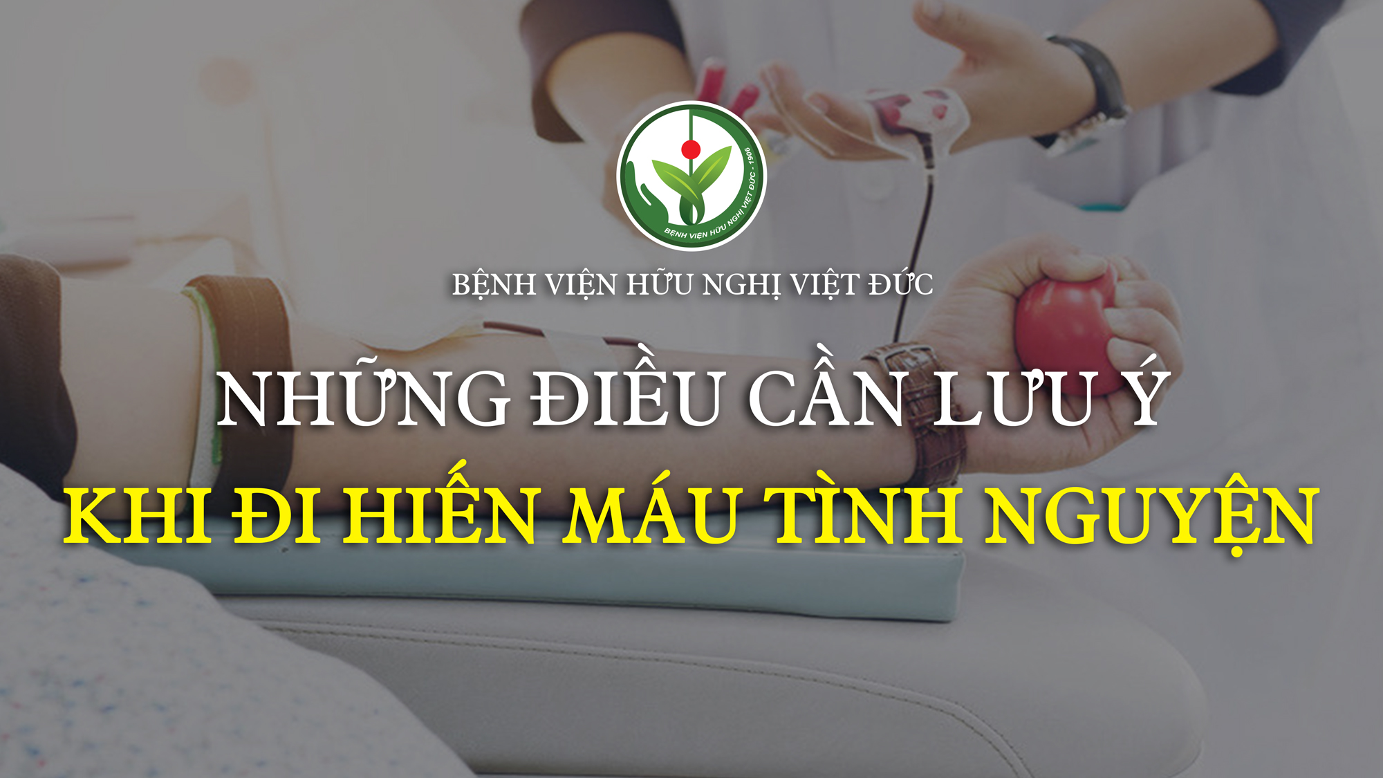 Những điều bạn cần lưu ý khi đi Hiến máu tình nguyện - Bệnh viện Việt Đức 1